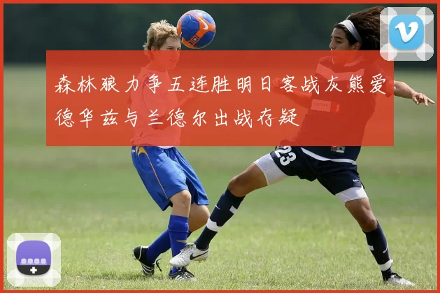森林狼力争五连胜明日客战灰熊爱德华兹与兰德尔出战存疑