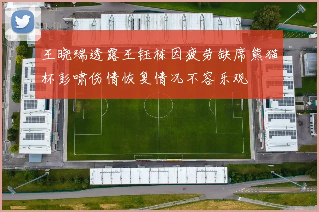 王晓瑞透露王钰栋因疲劳缺席熊猫杯彭啸伤情恢复情况不容乐观