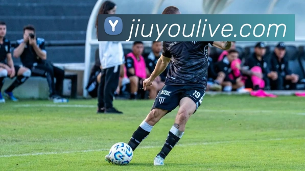 九游娱乐平台生态图