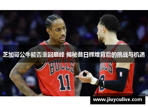 芝加哥公牛能否重回巅峰 揭秘昔日辉煌背后的挑战与机遇