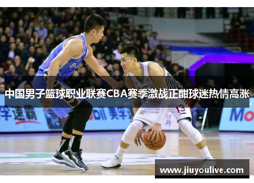 中国男子篮球职业联赛CBA赛季激战正酣球迷热情高涨
