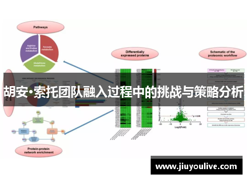 胡安·索托团队融入过程中的挑战与策略分析